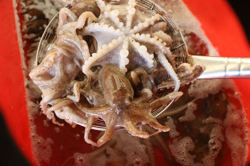 浅聊章鱼烤肉火锅的配方和具体制作方法