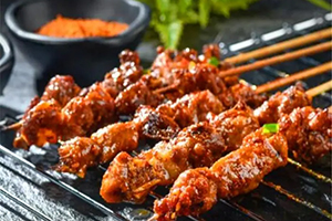 想摆个烧烤摊,买个燃气烧烤炉,大众有推荐的吗?